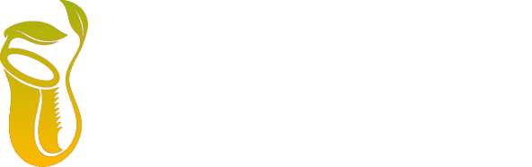 NepenThai